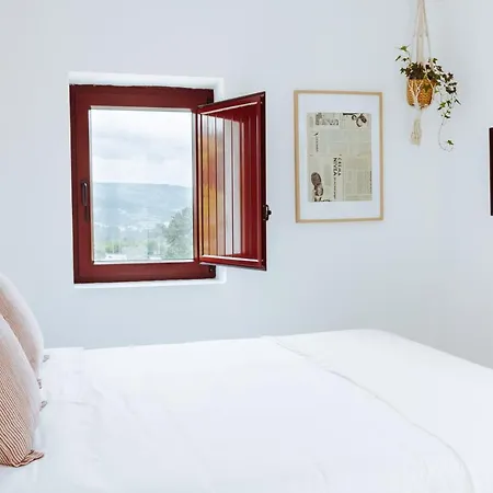 Alojamento de Turismo Rural Oliveiras Village — Amarante