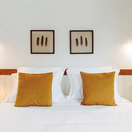 Alojamento de Turismo Rural Oliveiras Village — Amarante