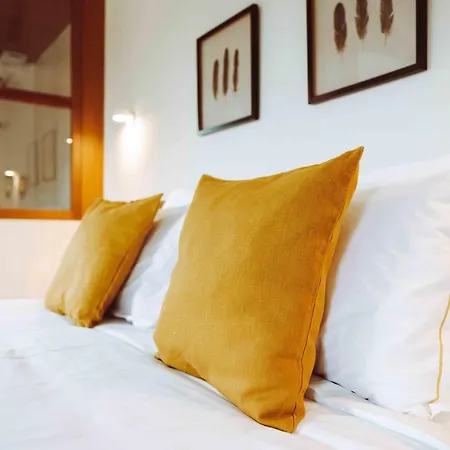 Alojamento de Turismo Rural Oliveiras Village —