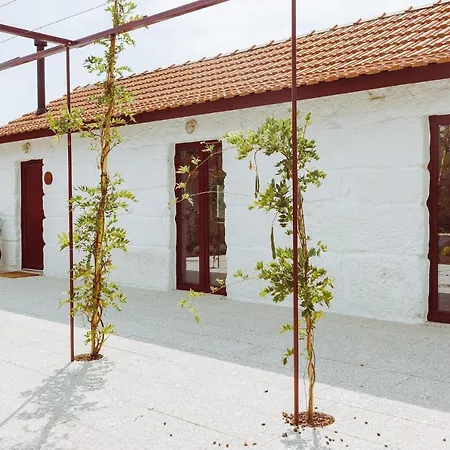Oliveiras Village — * 阿马兰特