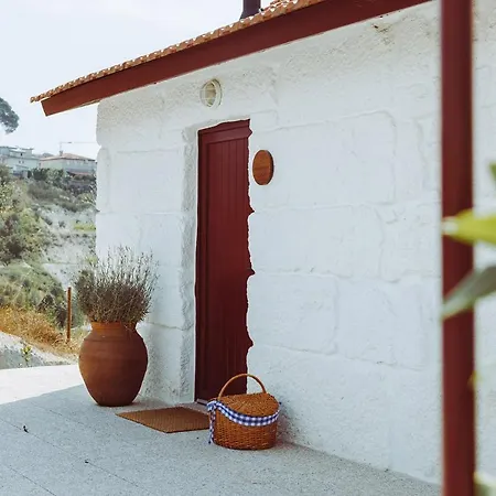 Oliveiras Village — * 阿马兰特