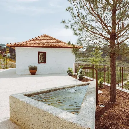 Oliveiras Village — * 阿马兰特