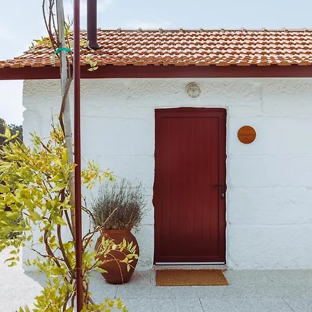 Oliveiras Village — 农家乐