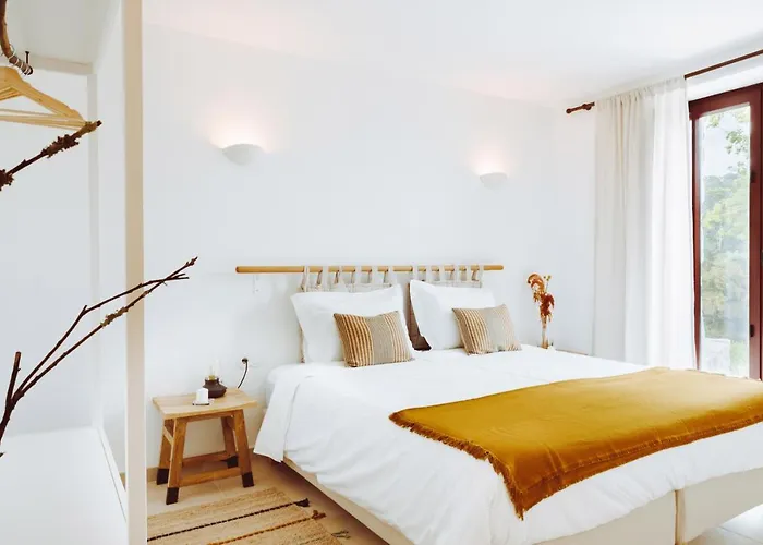 Oliveiras Village — Amarante