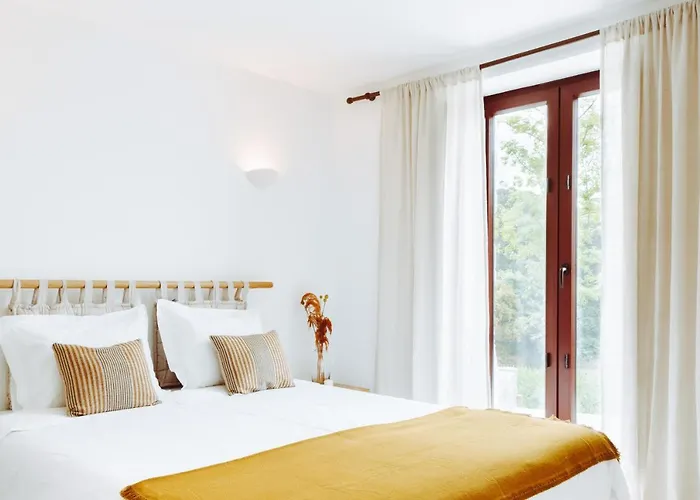 Farma Oliveiras Village — Amarante